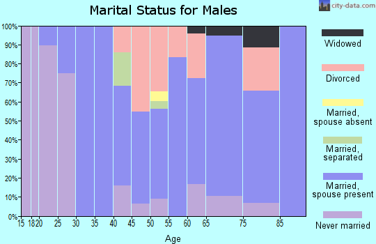 Zip code 05765 marital status for males