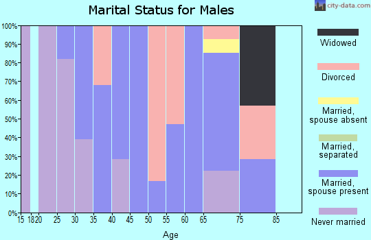 Zip code 05766 marital status for males