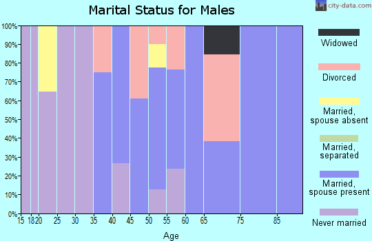 Zip code 05820 marital status for males