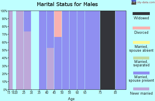 Zip code 05825 marital status for males