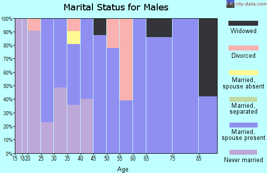 Zip code 05826 marital status for males