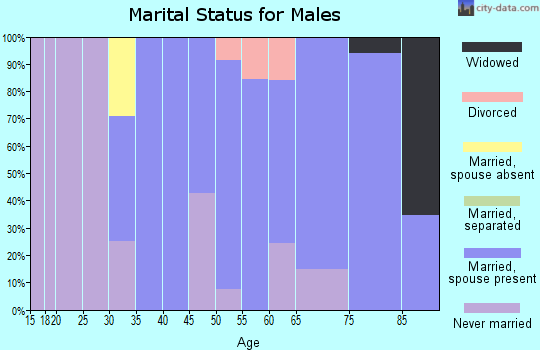 Zip code 05828 marital status for males