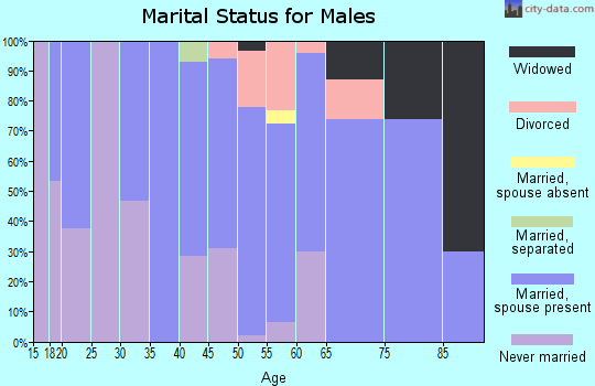 Zip code 05829 marital status for males