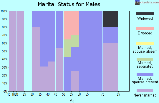 Zip code 05837 marital status for males