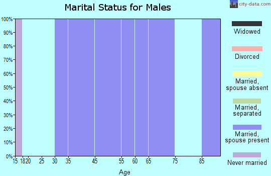 Zip code 05840 marital status for males