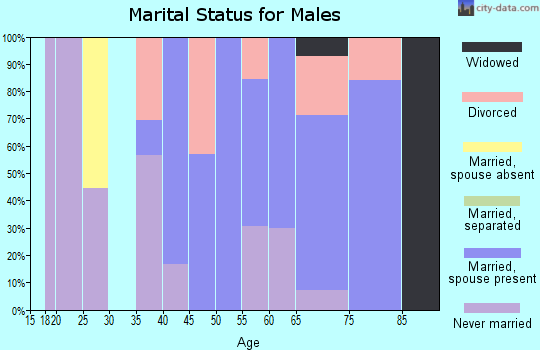 Zip code 05841 marital status for males