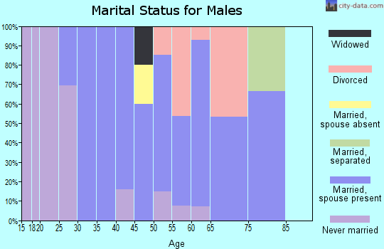 Zip code 05842 marital status for males