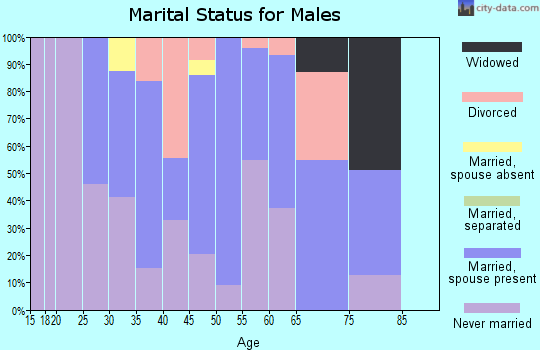 Zip code 05843 marital status for males