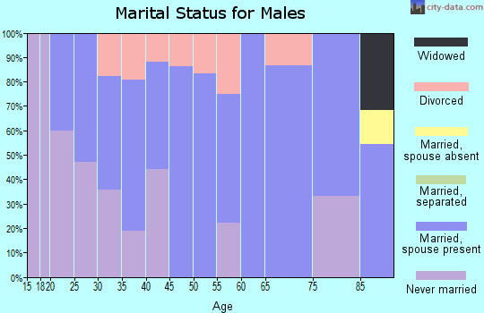 Zip code 05845 marital status for males