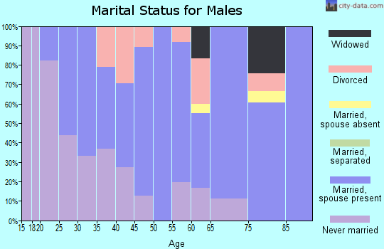 Zip code 05846 marital status for males