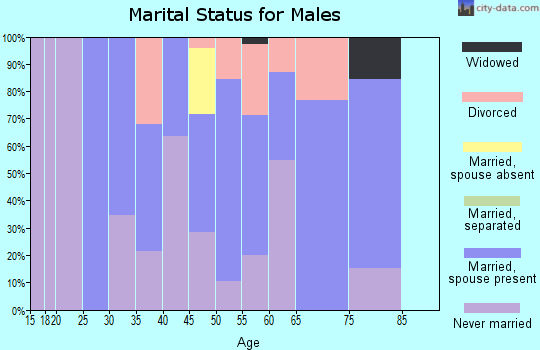 Zip code 05847 marital status for males