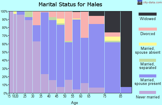 Zip code 05851 marital status for males