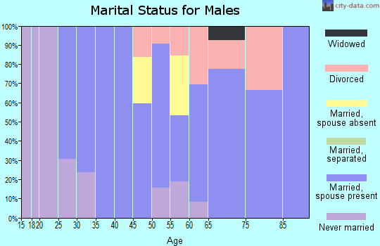 Zip code 05853 marital status for males