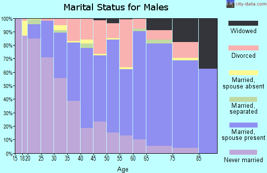 Zip code 05855 marital status for males