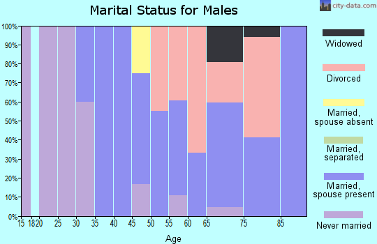 Zip code 05858 marital status for males