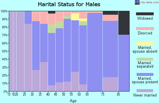 Zip code 05859 marital status for males