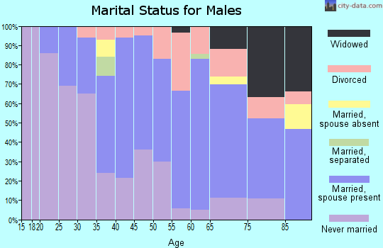 Zip code 05860 marital status for males