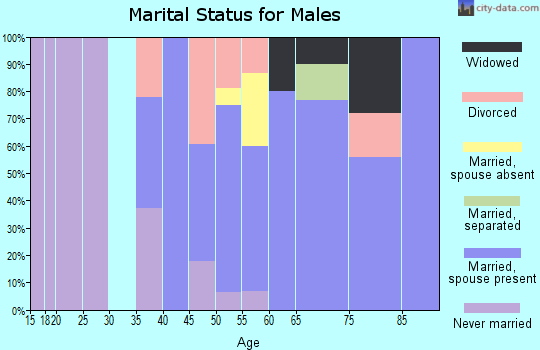 Zip code 05866 marital status for males