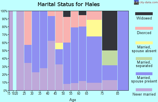 Zip code 05867 marital status for males