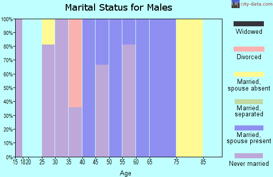 Zip code 05868 marital status for males