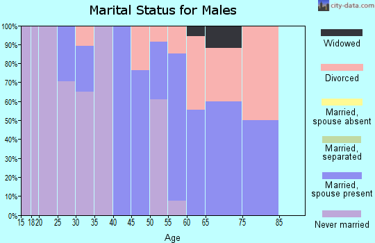 Zip code 05874 marital status for males