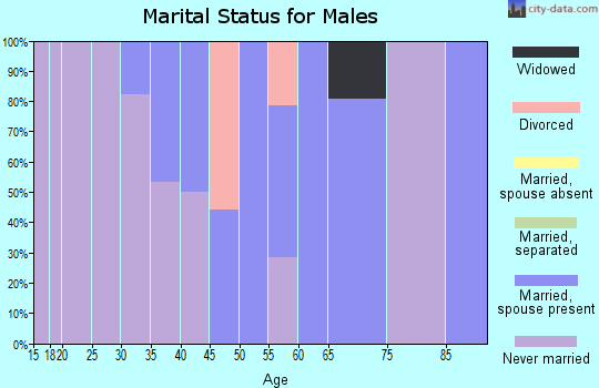Zip code 05875 marital status for males