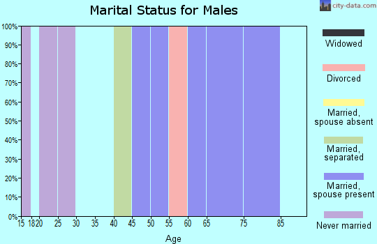 Zip code 05902 marital status for males