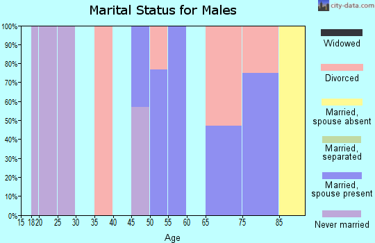 Zip code 05904 marital status for males