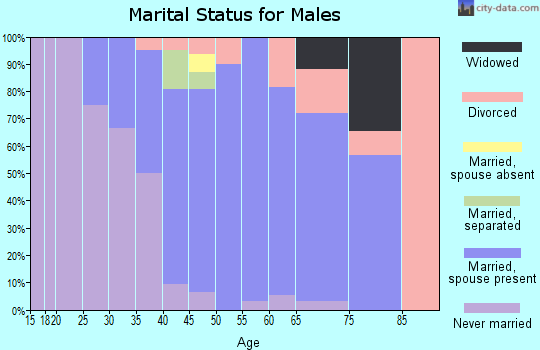 Zip code 05905 marital status for males