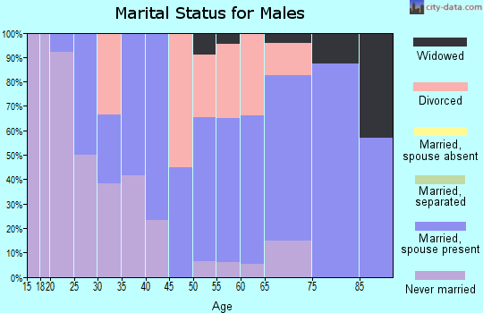 Zip code 05906 marital status for males