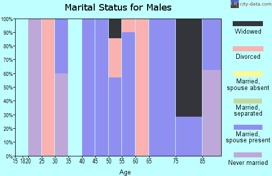Zip code 05907 marital status for males