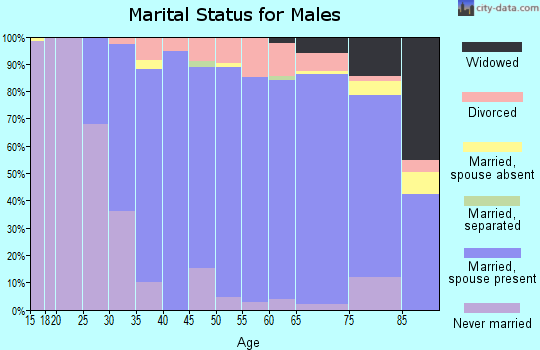 Zip code 06001 marital status for males