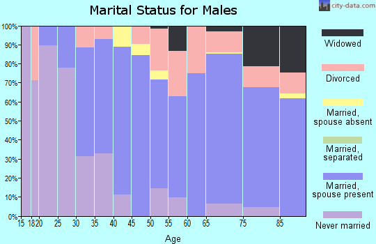 Zip code 06019 marital status for males