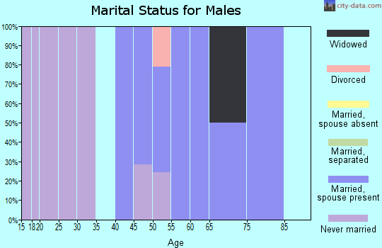 Zip code 06021 marital status for males