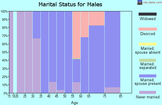 Zip code 06023 marital status for males