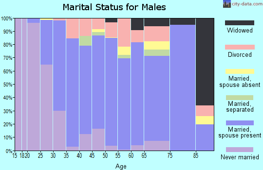 Zip code 06029 marital status for males