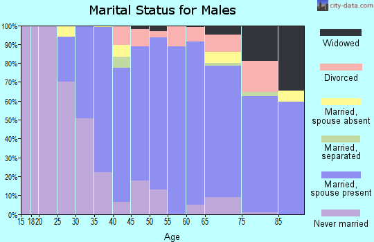 Zip code 06032 marital status for males