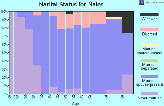 Zip code 06035 marital status for males