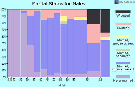 Zip code 06037 marital status for males