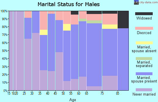 Zip code 06052 marital status for males