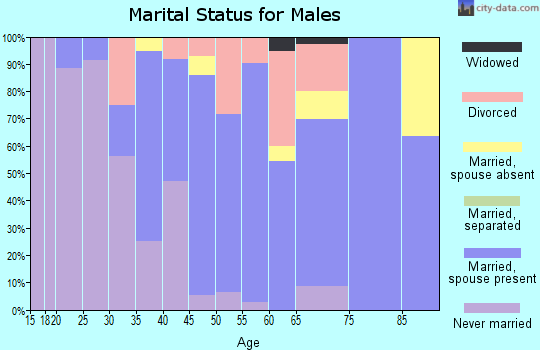 Zip code 06058 marital status for males