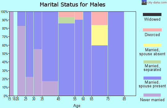 Zip code 06059 marital status for males