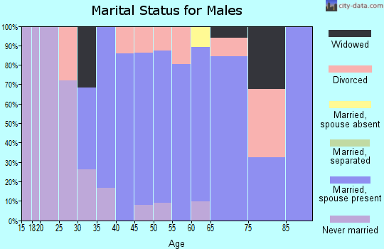 Zip code 06063 marital status for males