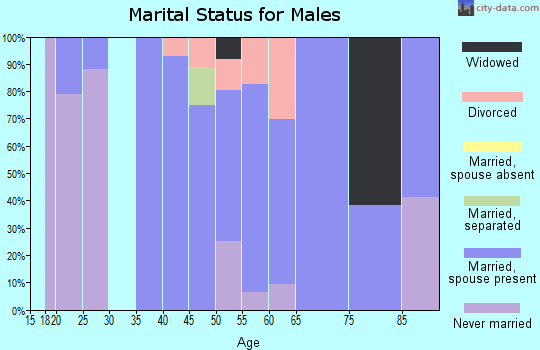 Zip code 06065 marital status for males