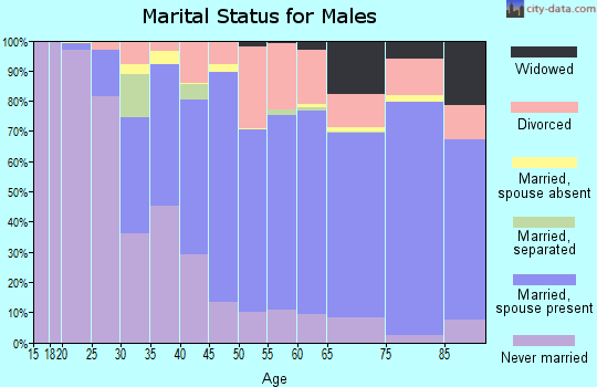 Zip code 06066 marital status for males