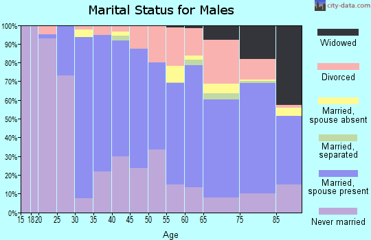Zip code 06067 marital status for males