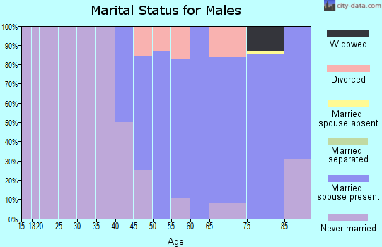 Zip code 06068 marital status for males