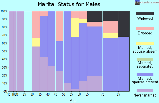 Zip code 06069 marital status for males