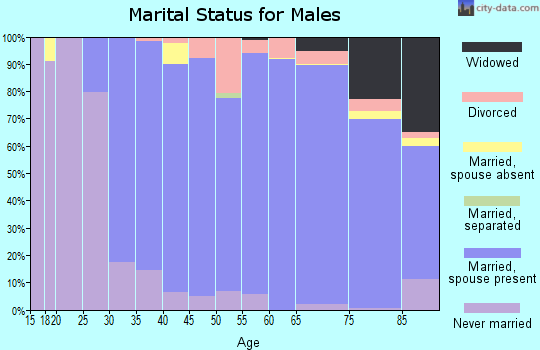 Zip code 06070 marital status for males