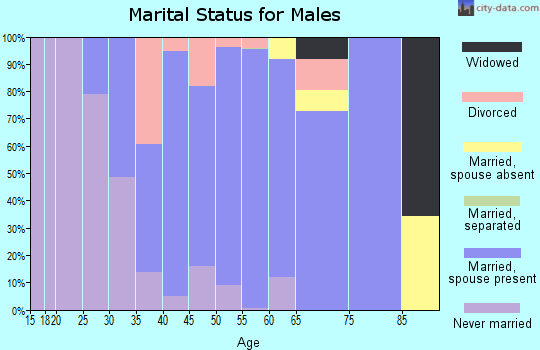 Zip code 06073 marital status for males